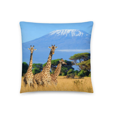 Africa Sunset Baobab Tree Décor Pillow for Living, Home and Outdoor