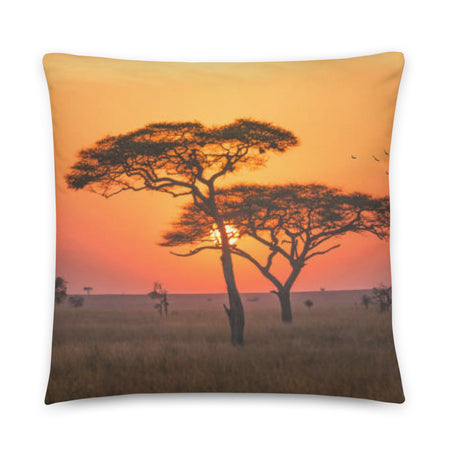 African Zebra Décor Gray Pillow for Living, Home an Outdoor
